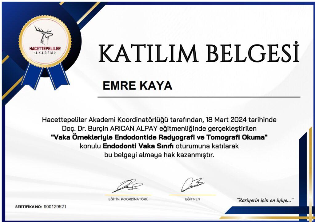 Sertifika 11