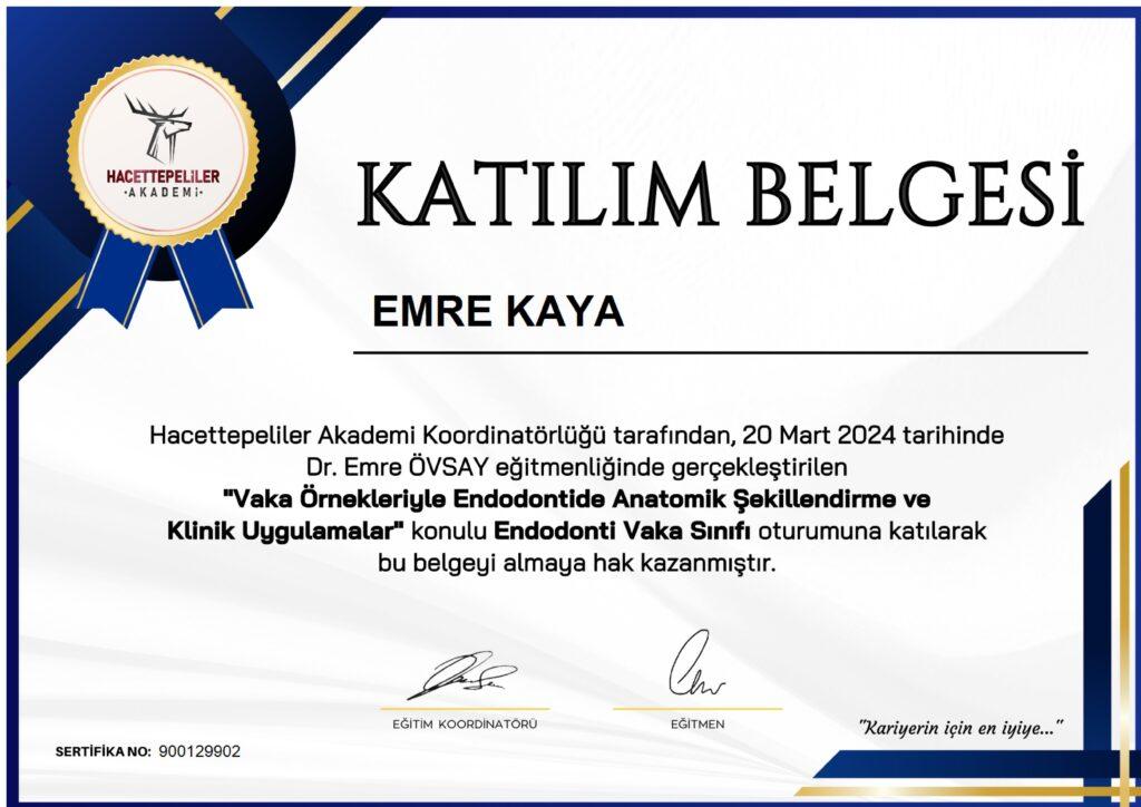 Sertifika 12
